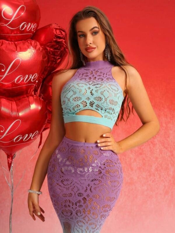 Sheer Fitted Hollow Out Sexy Lingerie Dress (4.89) - Image 5