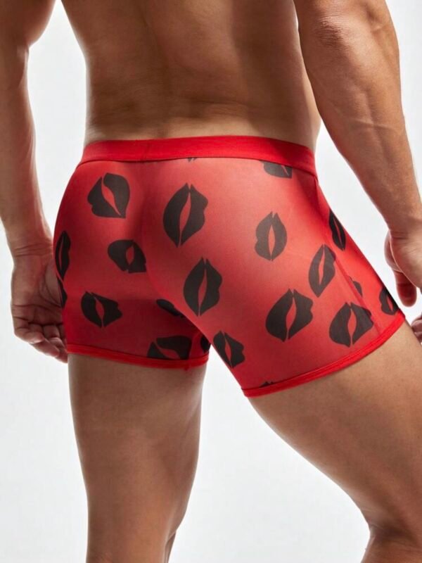 Men's Sexy Mesh Kiss Print Sheer Boxer Briefs (4.93) - Image 8