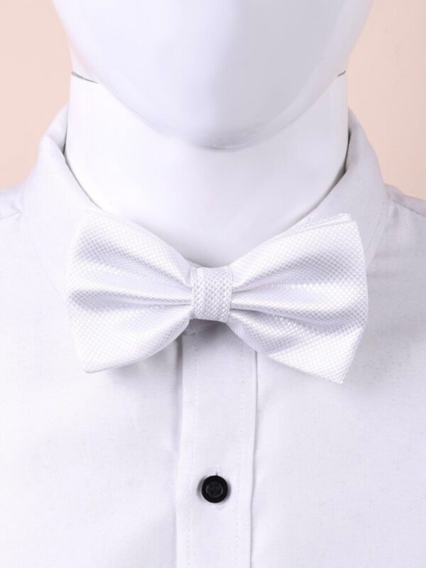 Men's Versatile Bow Tie Accessory (4.96) - Image 3