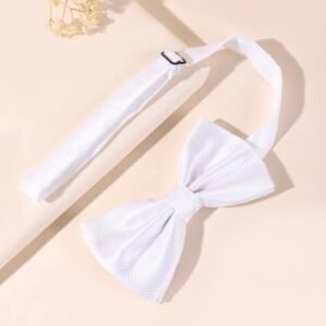 Men's Versatile Bow Tie Accessory (4.96)