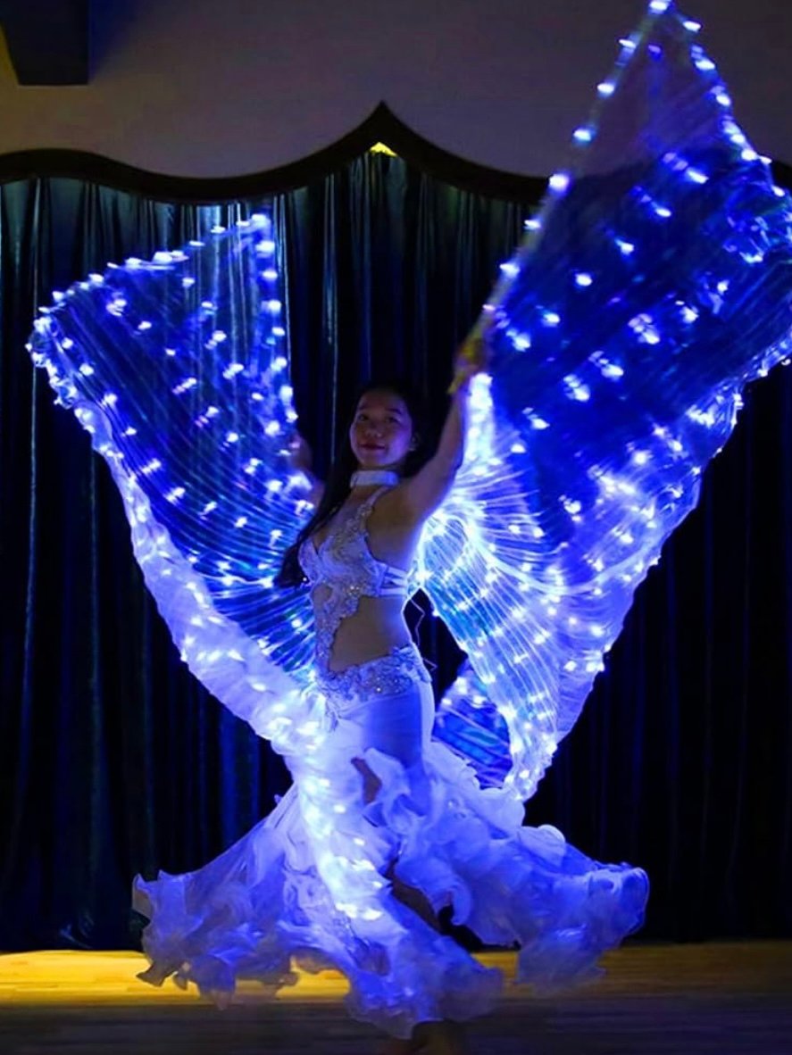 LED Light Up Angel Wings For Adults (4.40) - Image 11
