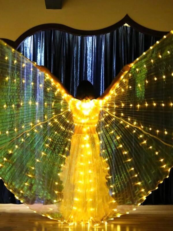 LED Light Up Angel Wings For Adults (4.40)