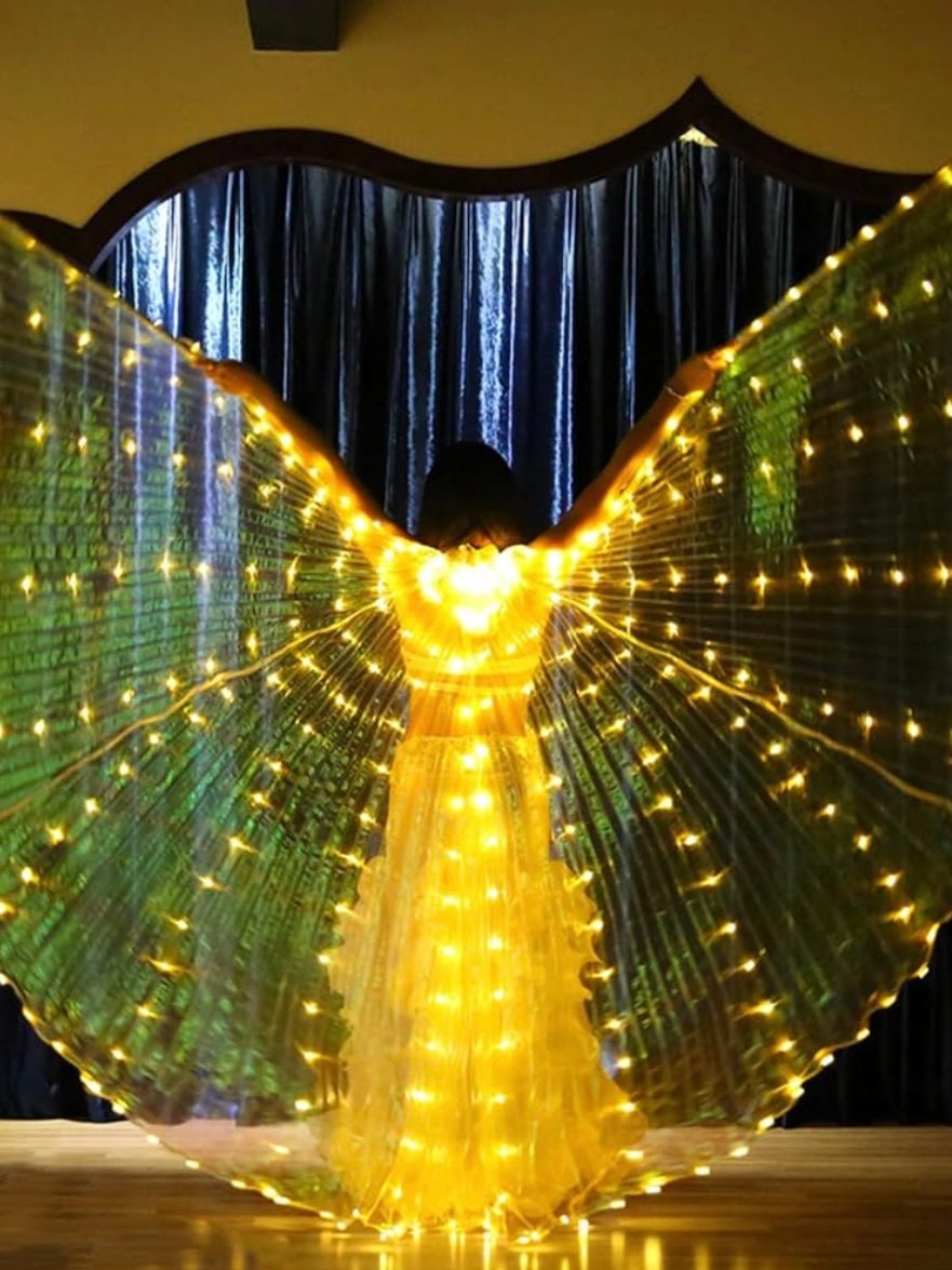 LED Light Up Angel Wings For Adults (4.40)