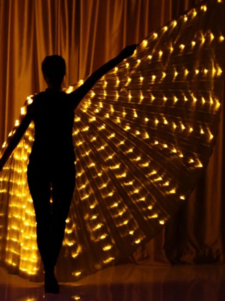 LED Light Up Angel Wings For Adults (4.40) - Image 6
