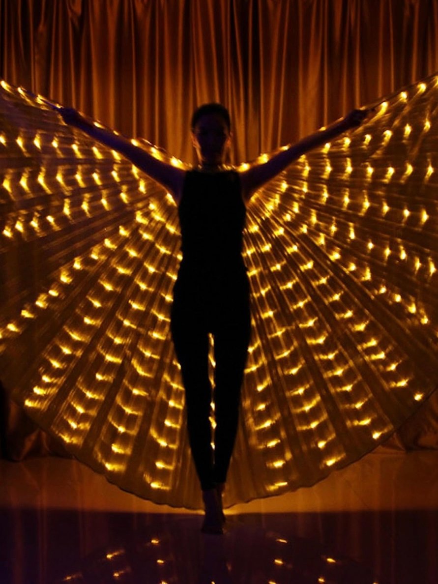 LED Light Up Angel Wings For Adults (4.40) - Image 7