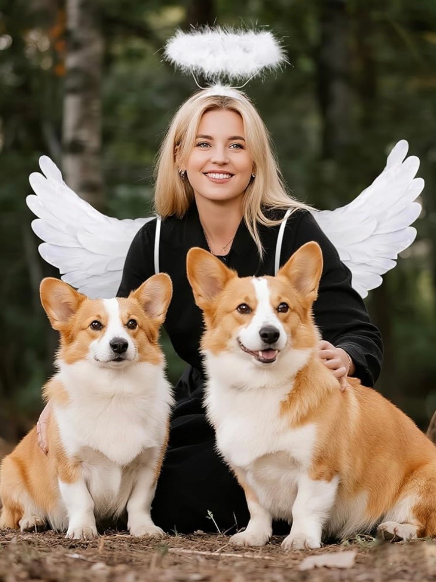 Angel Wings & Halo Adult Costume Accessory (4.30) - Image 2