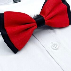 Men's Bow Tie Stylish Party Bowtie (4.94)