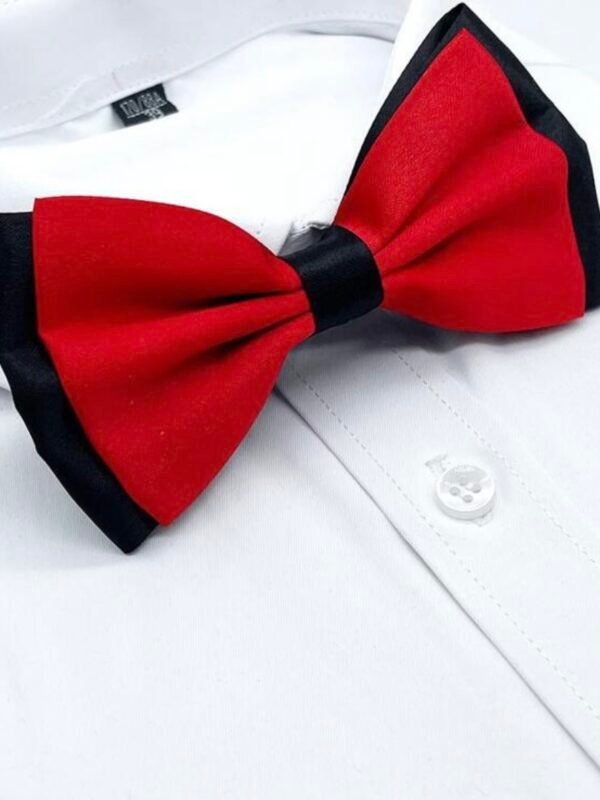 Men's Bow Tie Stylish Party Bowtie (4.94)