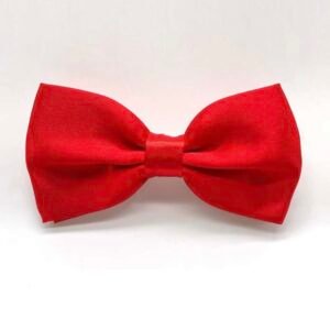 Men's Bowtie Necktie For Party's (4.96)