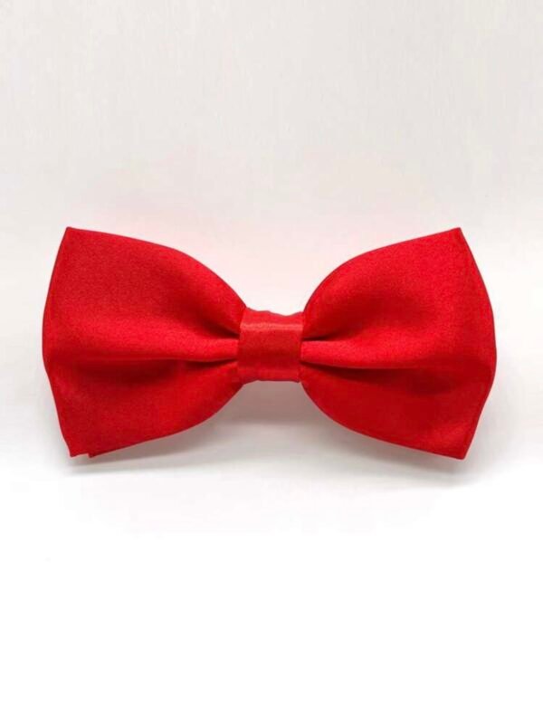 Men's Bowtie Necktie For Party's (4.96)