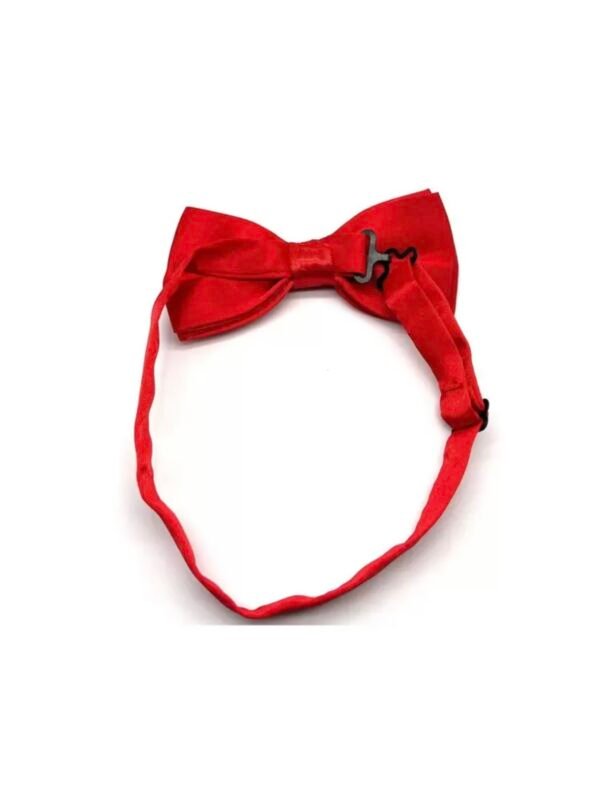 Men's Bowtie Necktie For Party's (4.96) - Image 13