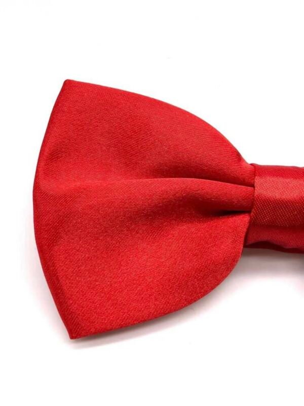 Men's Bowtie Necktie For Party's (4.96) - Image 14
