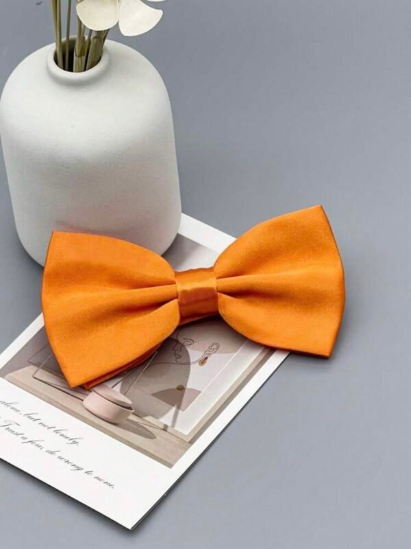 Men's Bowtie Necktie For Party's (4.96) - Image 10
