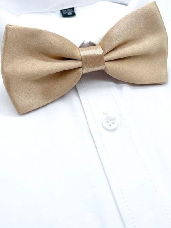 Men's Bowtie Necktie For Party's (4.96) - Image 3