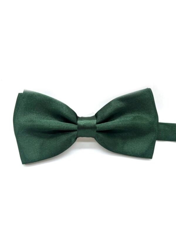 Men's Bowtie Necktie For Party's (4.96) - Image 5