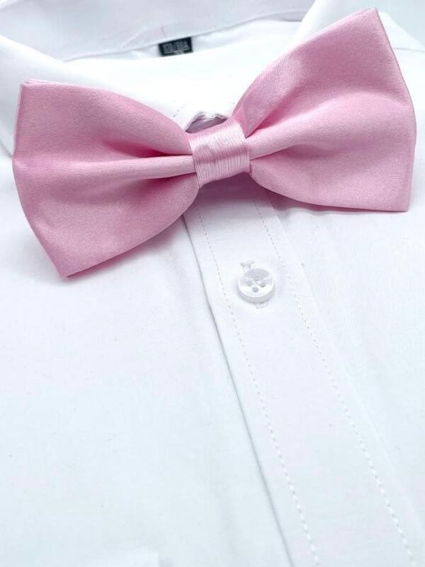 Men's Bowtie Necktie For Party's (4.96) - Image 4