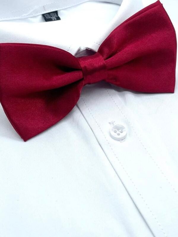 Men's Bowtie Necktie For Party's (4.96) - Image 12