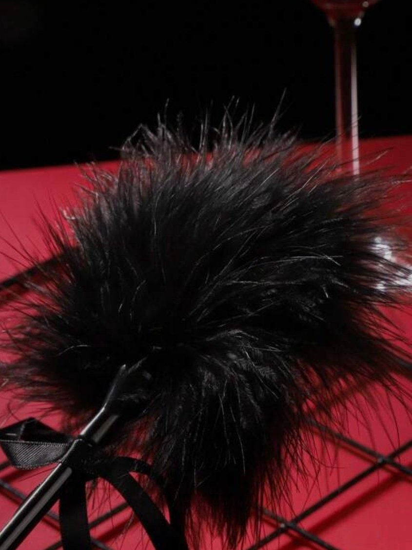 Sexy Black Feather Tickler Sex Toy Flogger (4.93) - Image 4